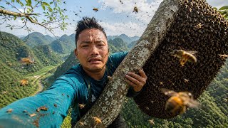 Demi Madu, Nyawa Jadi Taruhan - Panjat Pohon Tinggi untuk Madu Hutan (Honey Hunting)