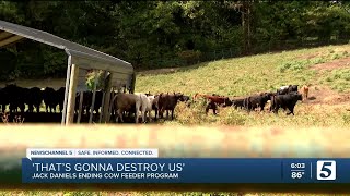 Download Lagu Jack Daniel's cuts off free cattle feed to Tennessee farmers after 45 years MP3 Download Lagu Jack Daniel's cuts off free cattle feed to Tennessee farmers after 45 years MP3