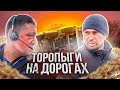 ДТП на трассе ОДЕССА-РЕНИ. ЗЕРНОВОЗ ПЕРЕВЕРНУЛСЯ! ТОРОПЫГИ на дорогах! №146 #дальнобой