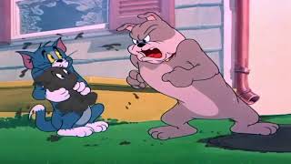 Tom And Jerry Episode 60 Slicked Up Pup Part 1