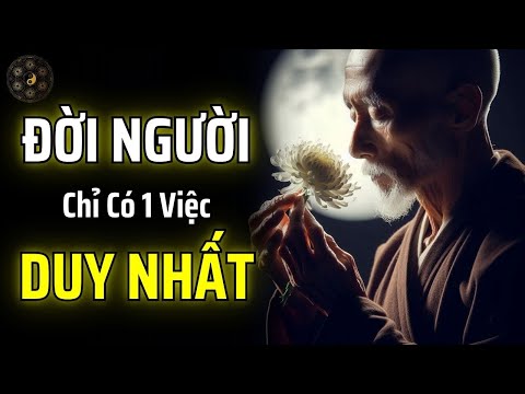 ĐỜI NGƯỜI CHỈ CÓ 1 VIỆC DUY NHẤT: KHÔNG NGỪNG NÂNG CAO TRƯỜNG NĂNG LƯỢNG BẢN THÂN | THUẬT CỔ NHÂN