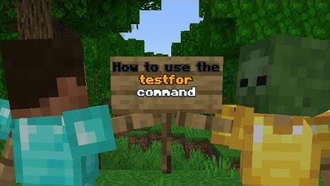 How to use the "testfor" command (Basics)