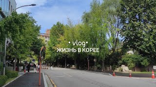 день из жизни студента в Корее