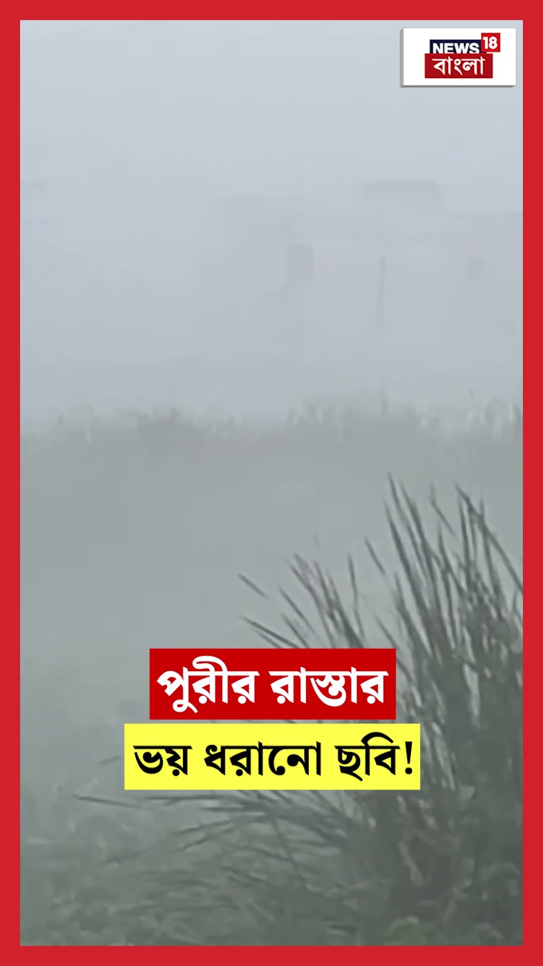 Puriর রাস্তার ভয় ধরানো ছবি! | N18S #shorts