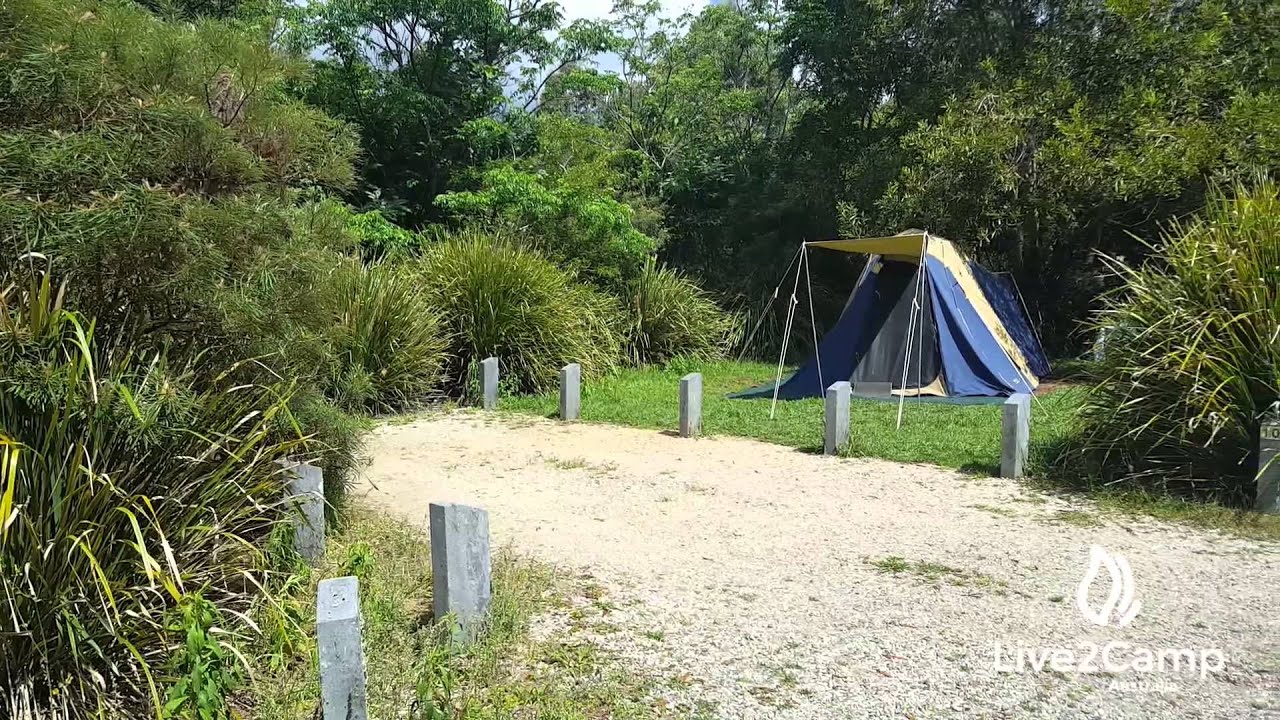 Settlement Campground Springbrook National Park Queensland YouTube Settlement Campground Springbrook National Park Queensland YouTube