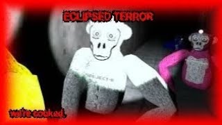 Even More Chaos on Eclipsed Terror