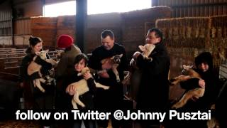Johnny Pusztai - Pork & Sausage Making Demos Showreel 2015