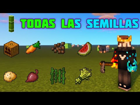 Video: Dónde Encontrar Sandías En Minecraft