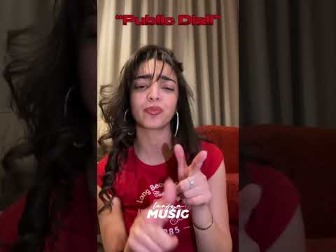 Frizzy Public Diali Snippet 