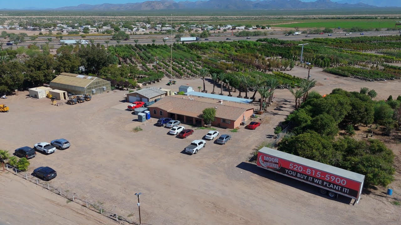 Moon Valley Nurseries in Marana, Arizona | Drone Footage by Southwest Drone Tech