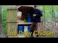 Chicken Chores Daily