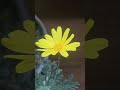사계절  멋진 유리호프스