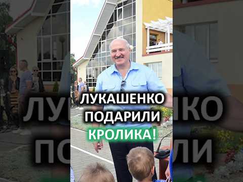 Лукашенко: Кролика? И вам не жалко мне отдавать? // Подарок от многодетной семьи #shorts