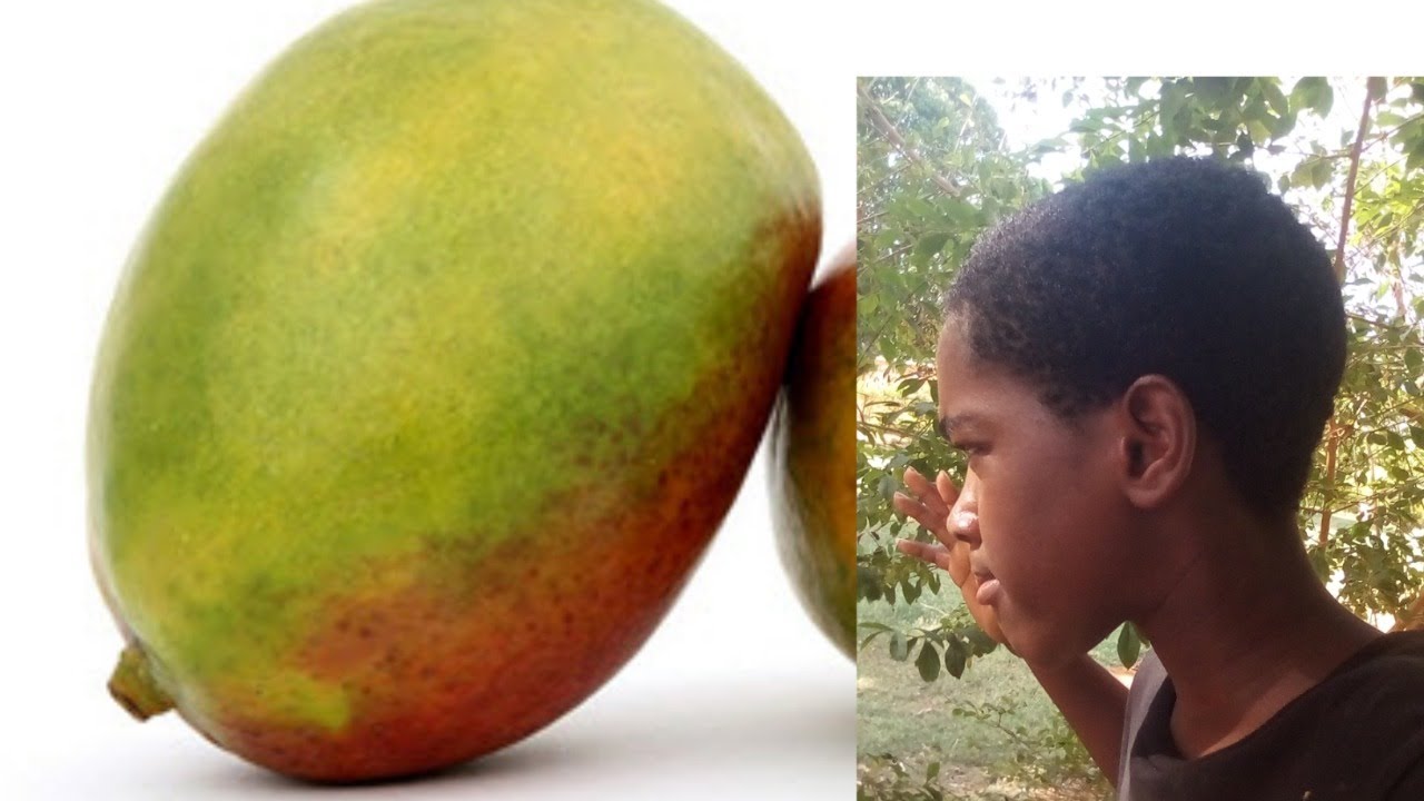 behind the scenes of juicy mango 