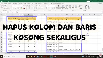 cara hapus kolom dan baris kosong otomatis di tabel excel | how to delete empty cell in excel