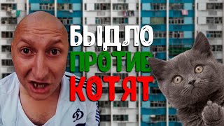 БЫДЛО В БОЛГАРИИ: КАК Я ЧУТЬ НЕ ПОДРАЛСЯ С МЕСТНЫМ КРЕТИНОМ ЗАЩИЩАЯ КОТЯТ