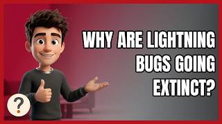 Why Are Lightning Bugs Going Extinct