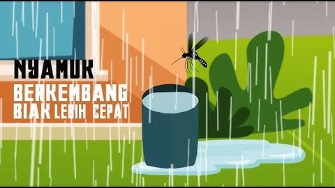 PREVENT DHF WITH 3M PLUS