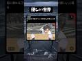 優しい世界 #shorts #おすすめ #tiktok #tiktokvideo #fypシ #youtubeshorts #捨て猫 #猫 #面白い