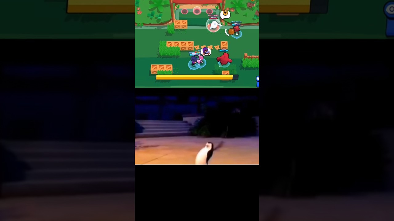 Обыграл нави мма своим  трикшотом