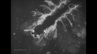 Download Lagu Malaria MP3