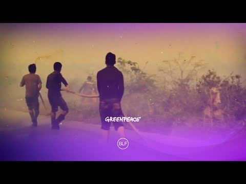 Greenpeace - Home Ad
