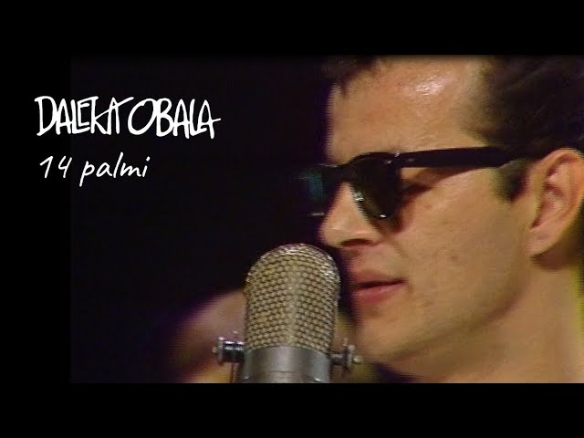 DALEKA OBALA - 14 PALMI