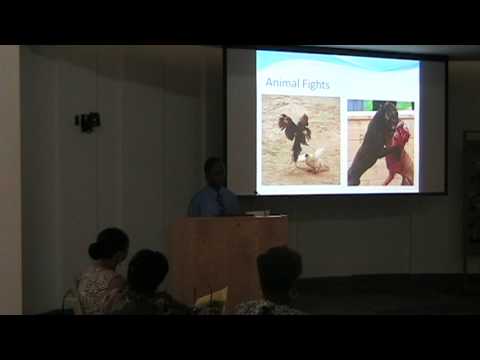 Informative speech on animal abuse