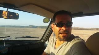 Evde Duramayanlar Kuru Ağaç Bulursa