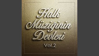 Yola Çıktım Mardine Resimi