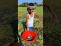 Village Boy Using Old Fishing Technique with Cage Trap in the Bill | Real Village Fishing #fishing