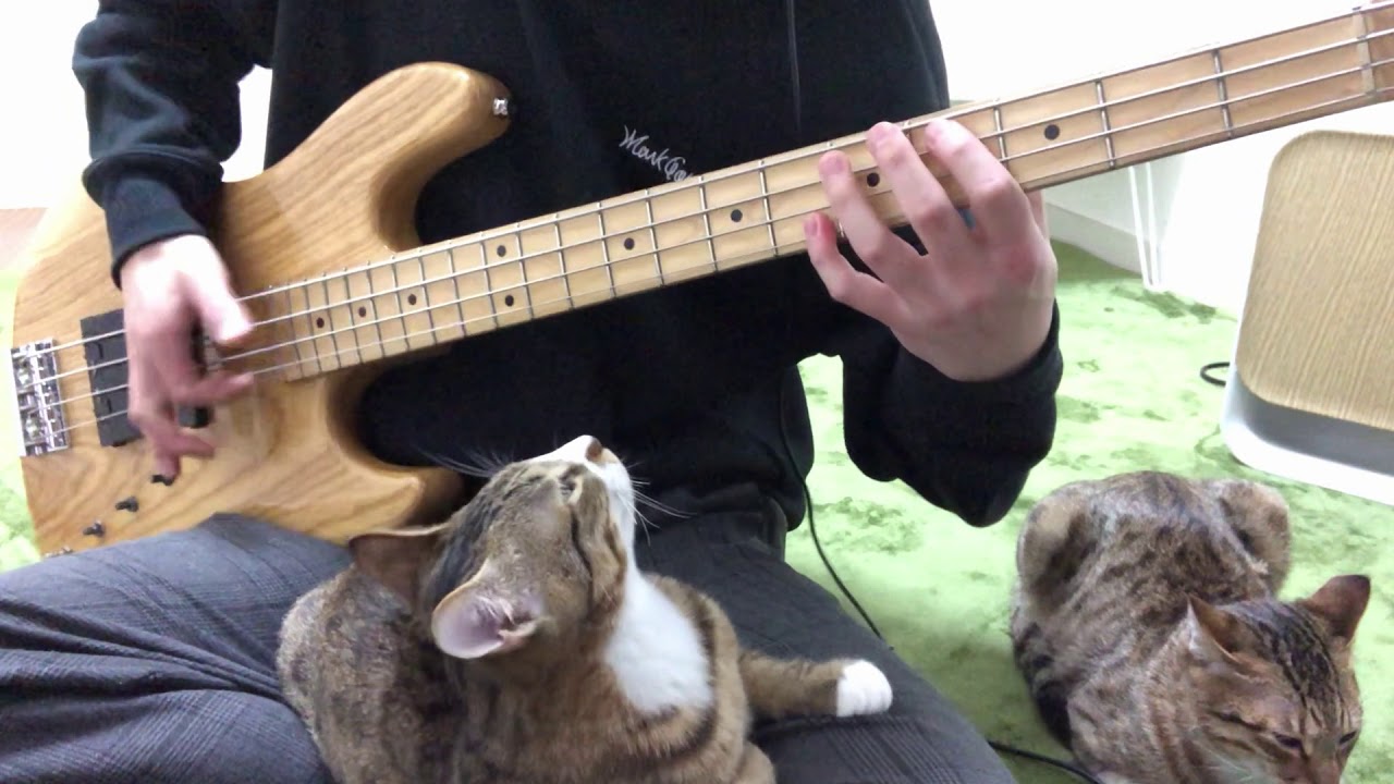 遊戯王　英語版　AP OP レリーフ　まとめ売り 遊戯王 op】遊戯王 英語版 AP OP レリーフ まとめ売り コナミデジタル