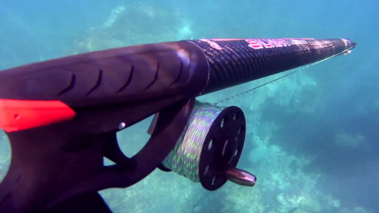 Maglietta Unisex Subacqueo E Squalo - Manica Lunga, Cotone, Design Grafico, Nero - Foto 6