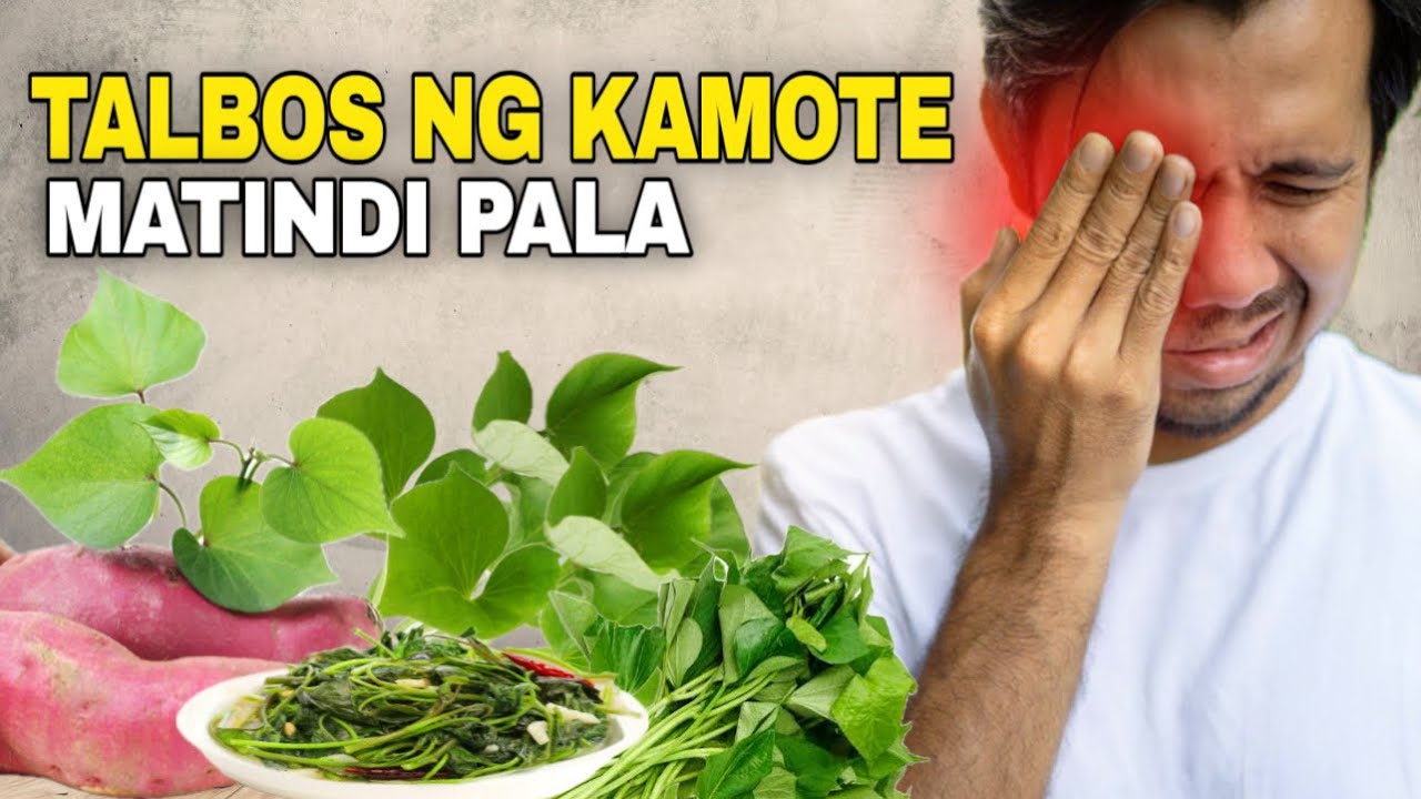 TALBOS NG KAMOTE MATINDI PALA EPEKTO NITO! - 10 Benepisyo ng pagkain ng talbos ng kamote sa katawan