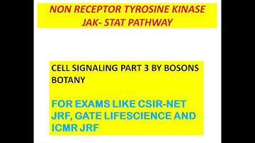 JAK-STAT Pathway | Non-receptor Tyrosine Kinase (NRTK) | Cell Signaling | Bosons Botany
