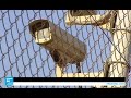 أوروبا تحمي حدودها