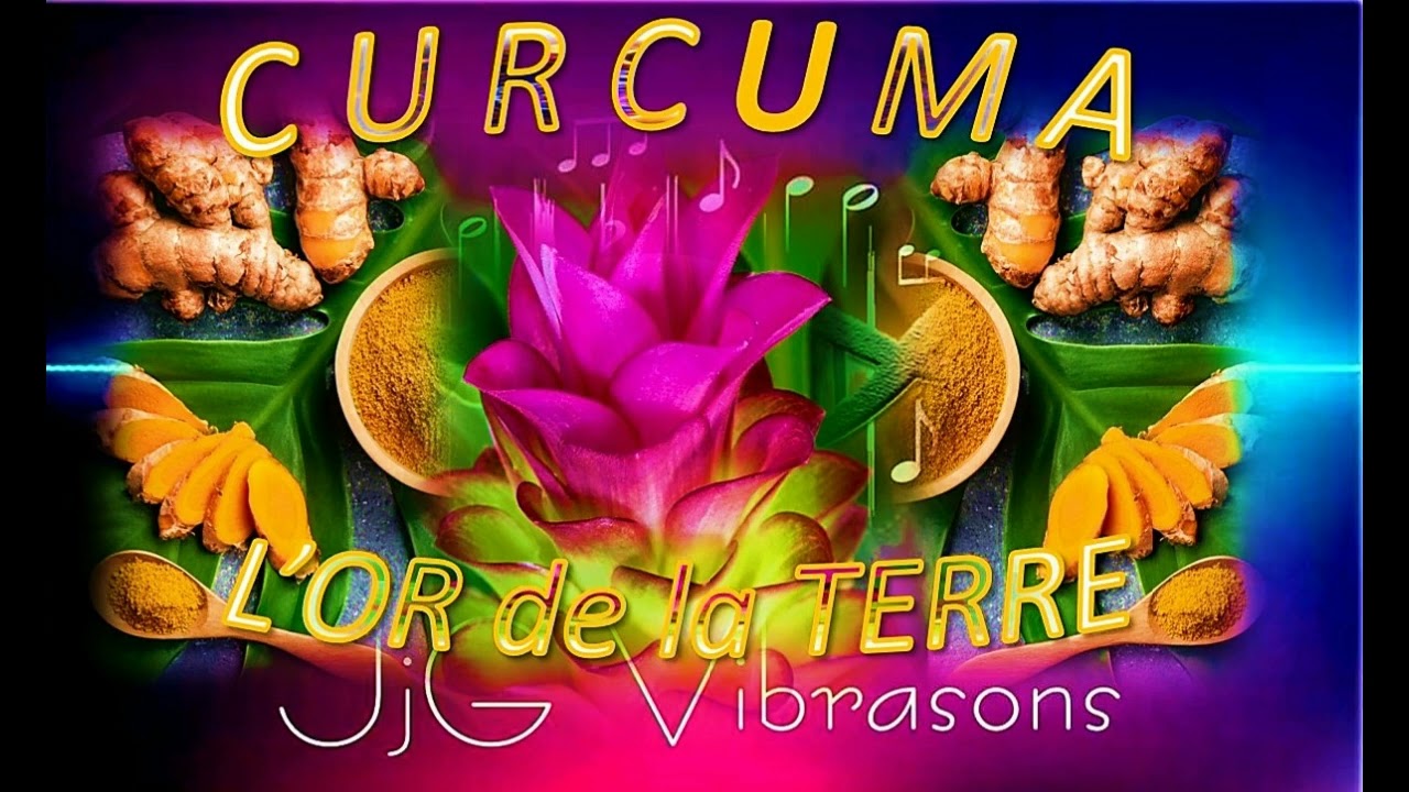 CURCUMA OR DE LA TERRE   Vertus presque miraculeuses - Création d'une rubrique énergétique PLANTES.