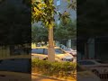 Small plane crashes into Beijing skyscraper