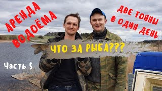видео: ЗАПУСТИЛИ 2 ТОННЫ КРУПНОЙ РЫБЫ | Рыбхоз изнутри | Аренда водоема возле деревни Ковалевичи Часть 5 картинка: ЗАПУСТИЛИ 2 ТОННЫ КРУПНОЙ РЫБЫ | Рыбхоз изнутри | Аренда водоема возле деревни Ковалевичи Часть 5