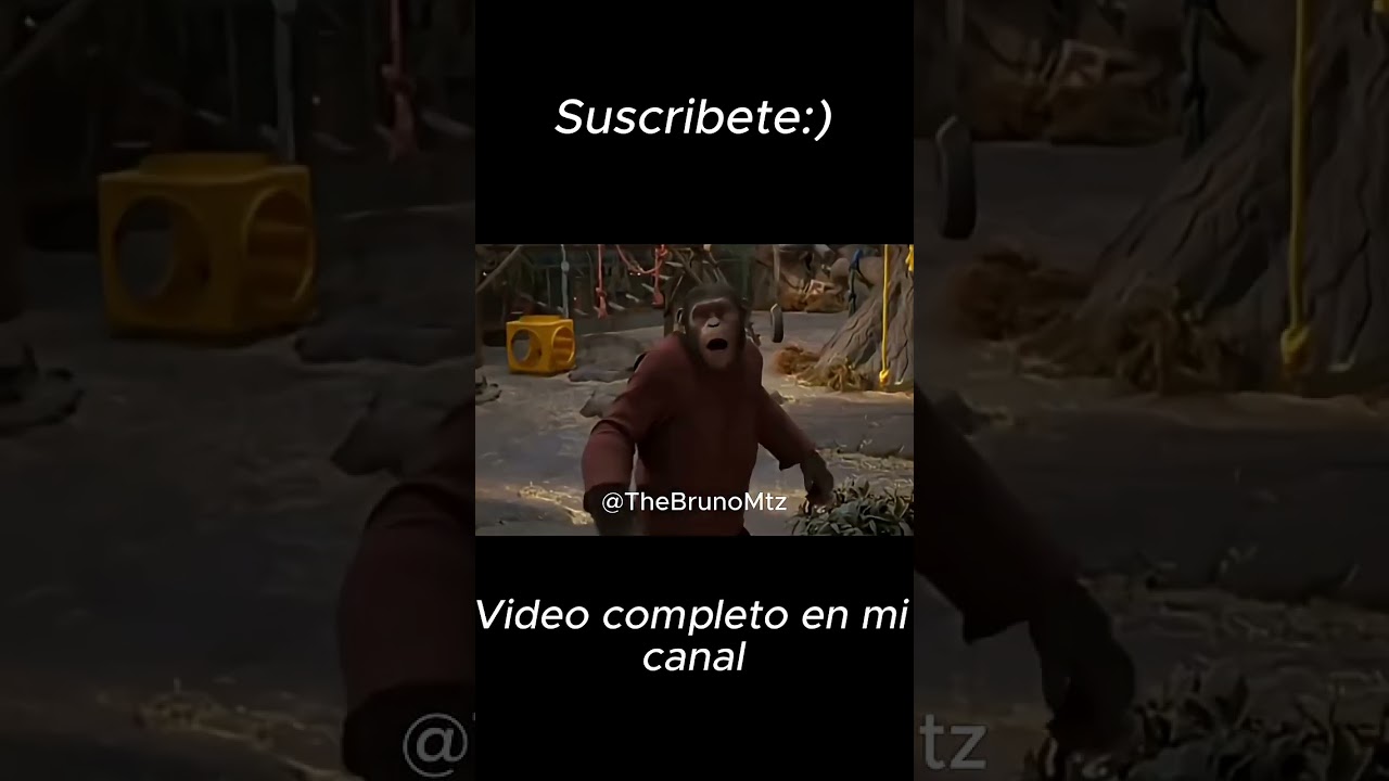 PLANETA DE LOS SIMIOS  #peliculas #planetadelossimios #movie #resumen #drama #animals #animal