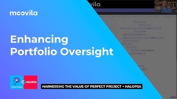 Enhancing Portfolio Oversight with Moovila Perfect Project + HaloPSA