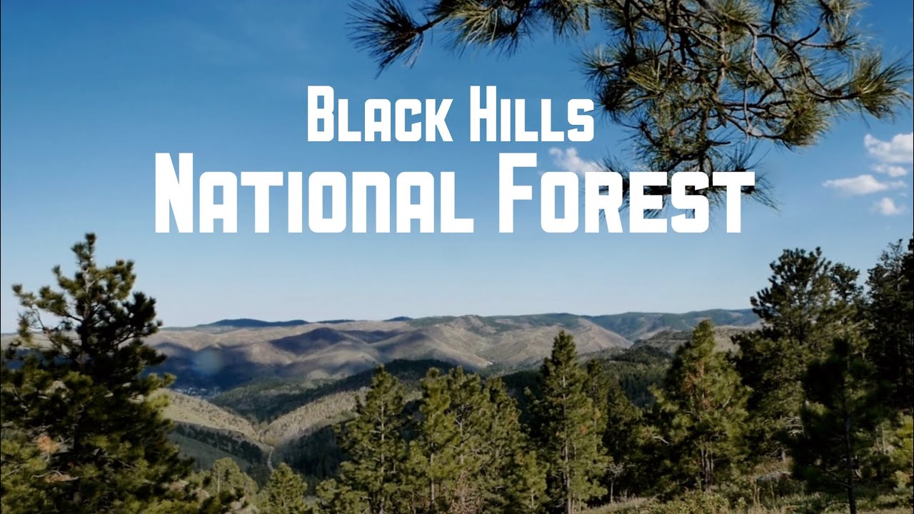 Free Camping in the Black Hills National Forest || 2019 Taxa Mantis