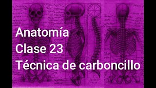 Anatomía Clase 23  - Técnica de carboncillo