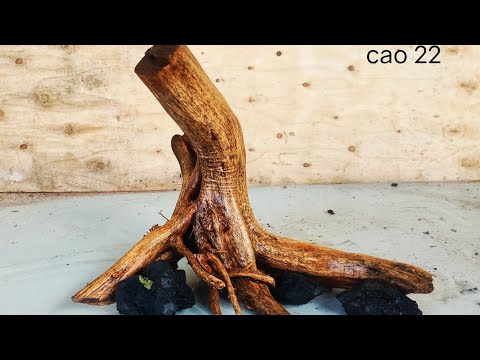 Video 27 | nhất trụ cho bể Cubin | Lũa Thuỷ Sinh | Lũa Nhất... - youtube