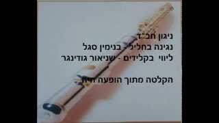 Miniatura de "בנימין סגל - ניגון חב"ד"