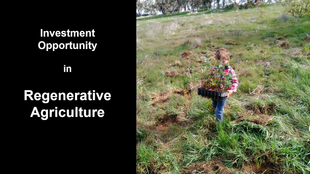 Regenerative Grazing Investment   Southern NSW