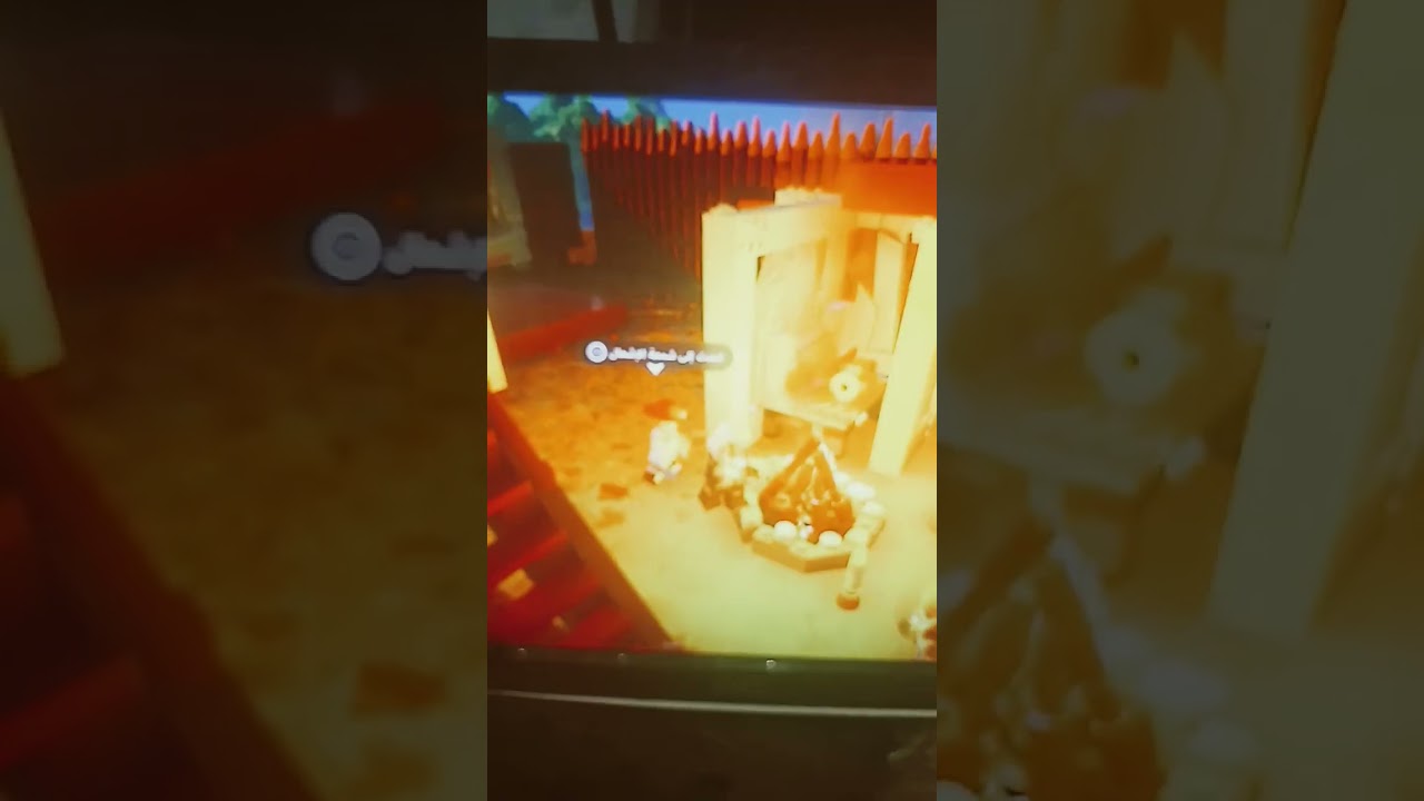 ٣ يناير ٢٠٢٤