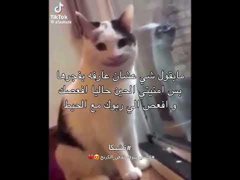 ت شي سوف تدفن الكرنج طقطقه على المعفن تبع الجوكر جاك تشيكا