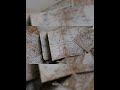 حكايات تاريخية مغامرات علي وكشف أسرار الكنوز المهجورة حكايات تاريخية قصص أساطير