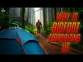 CC EPISODE 547 WHY IS BIGFOOT TERRORIZING US?